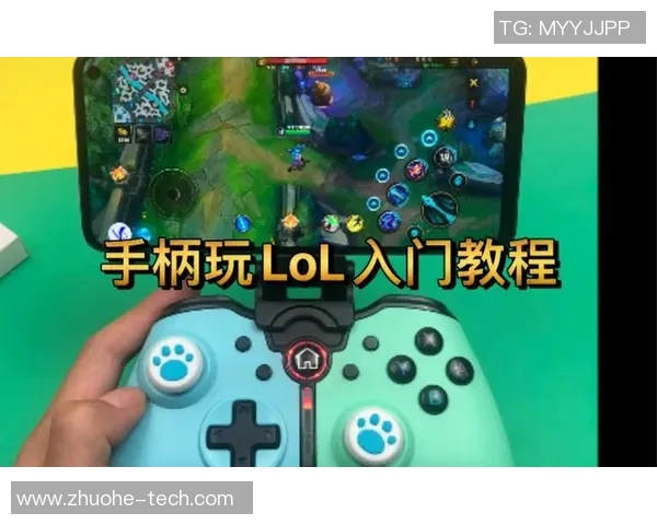 英雄联盟装备选购指南：适合游戏手柄的推荐与选择技巧